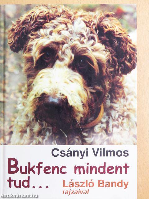 Bukfenc mindent tud...