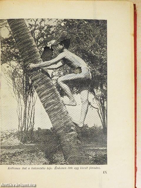 Röptében a világ körül