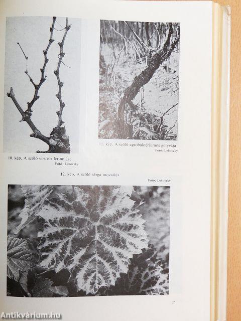 Kertészeti növényvédelem