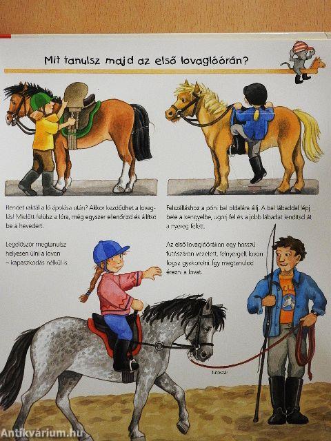 Lovak és pónik