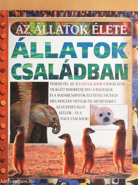 Állatok családban