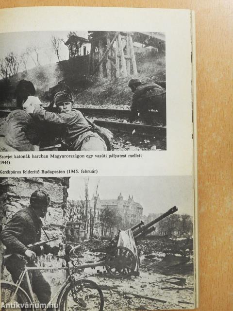 Sorsfordítás (dedikált példány)