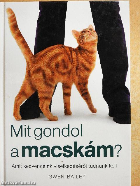 Mit gondol a macskám?