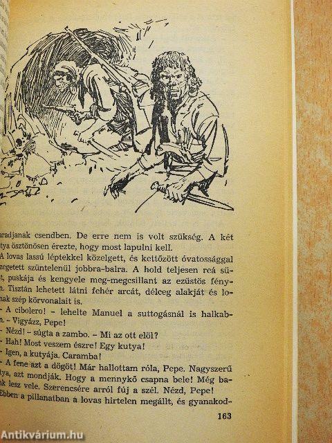 A fehér törzsfőnök