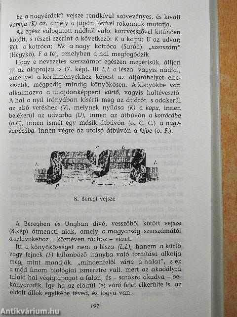 A csallóközi halászat története