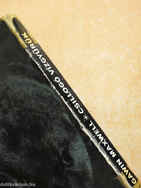 Csillogó vízgyűrűk