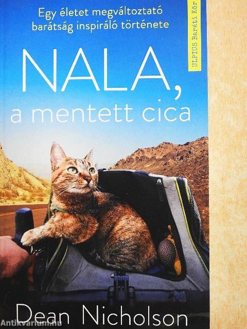Nala, a mentett cica