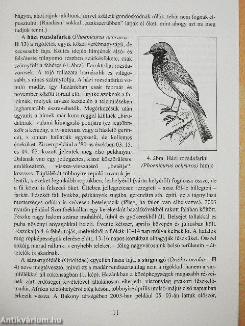 Madarak a Bakonyban I.