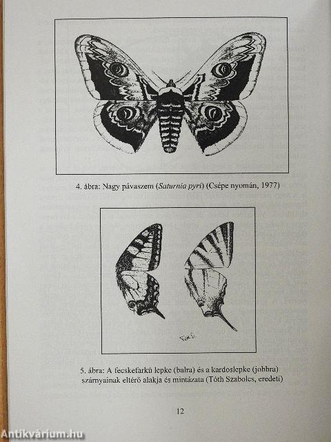 A Bakony rovarvilága