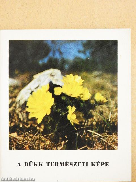 A Bükk természeti képe