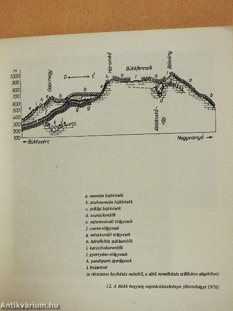 A Bükk természeti képe
