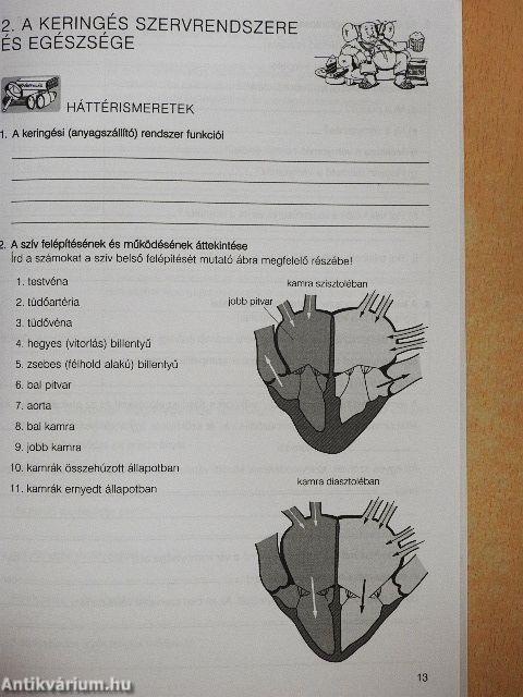 Biológia középszintű érettségi - B tételek