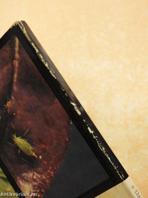 Levéltetvek a kertészetben