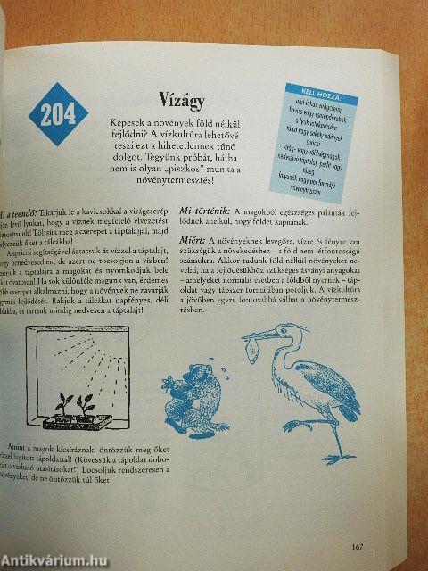 365 egyszerű tudományos kísérlet