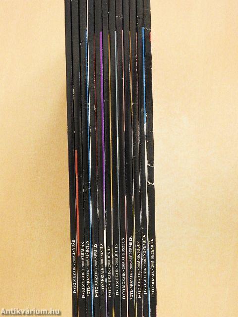 Foto Mozaik 2003. január-december