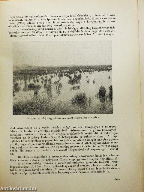 Növénykórtan I-II.