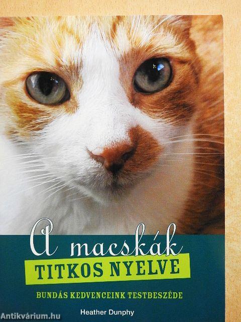 A macskák titkos nyelve