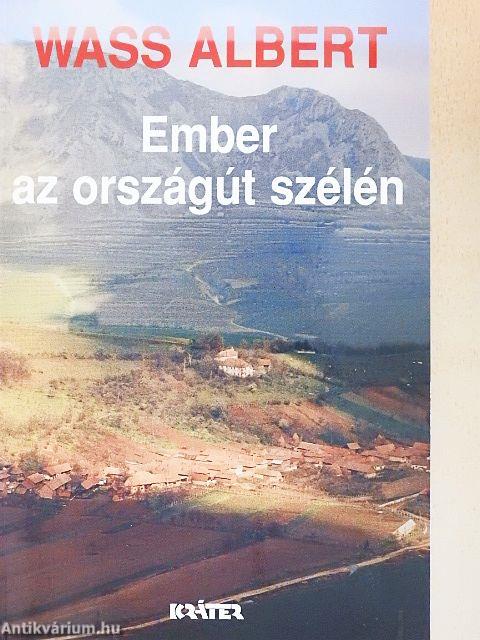 Ember az országút szélén