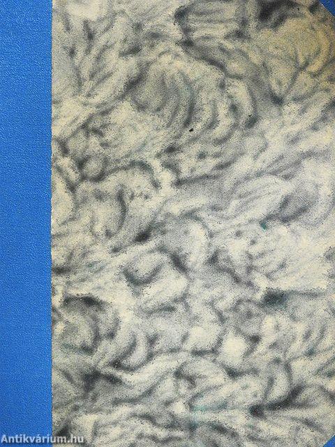 A növények társadalma