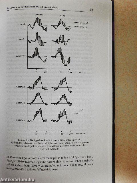 A rejtőzködő elme