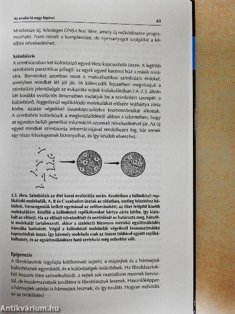 A földi élet regénye