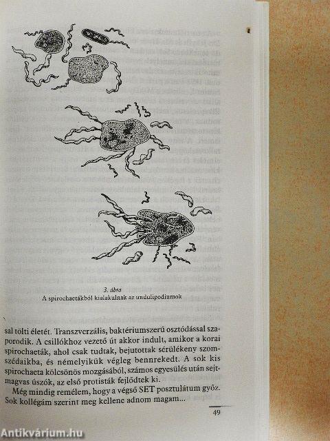 Az együttélés bolygója