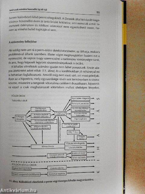 Kihaltak és túlélők