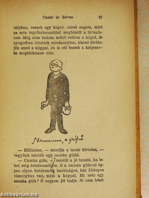 Tanár úr kérem