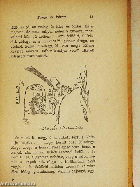 Tanár úr kérem