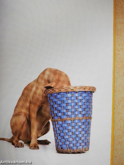 Demény bölcsességei