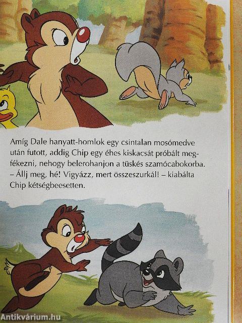 Chip és Dale óvodája