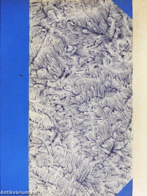 A szerelem iskolája