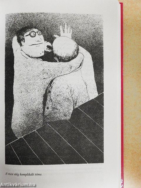 Egy hazug ember önéletrajza VI.