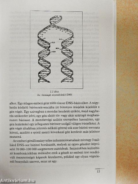 Ha egy sejt megkergül