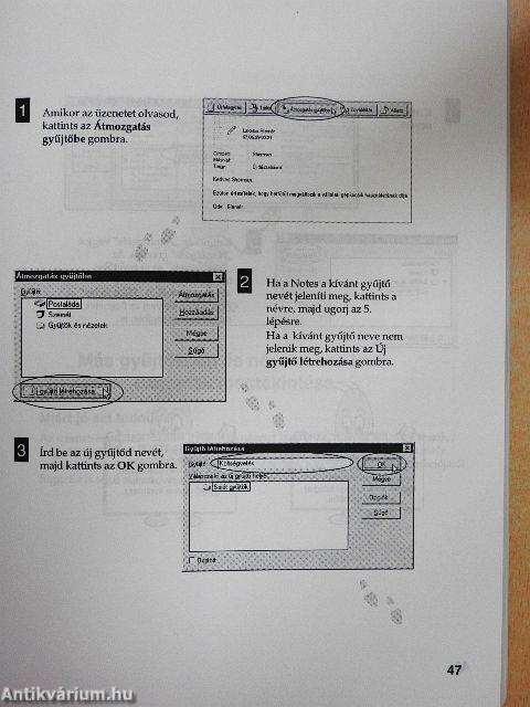 Lotus Notes 4.5 változat