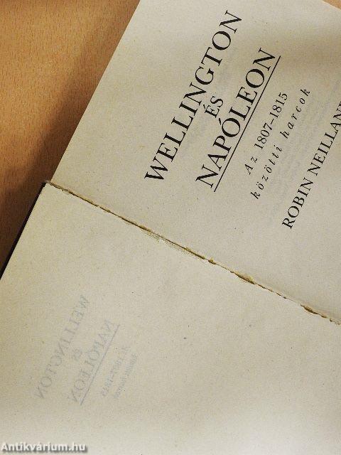 Wellington és Napóleon