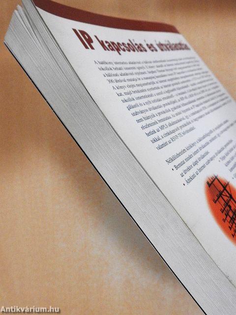 IP kapcsolás és útválasztás