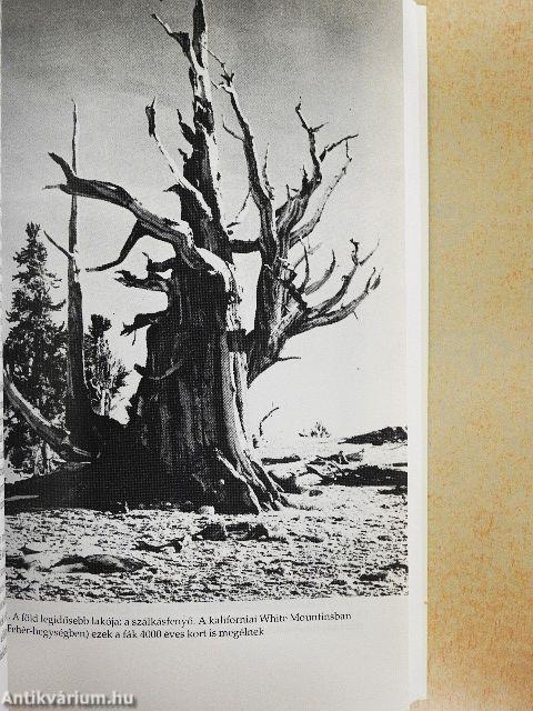 A civilizáció előtt