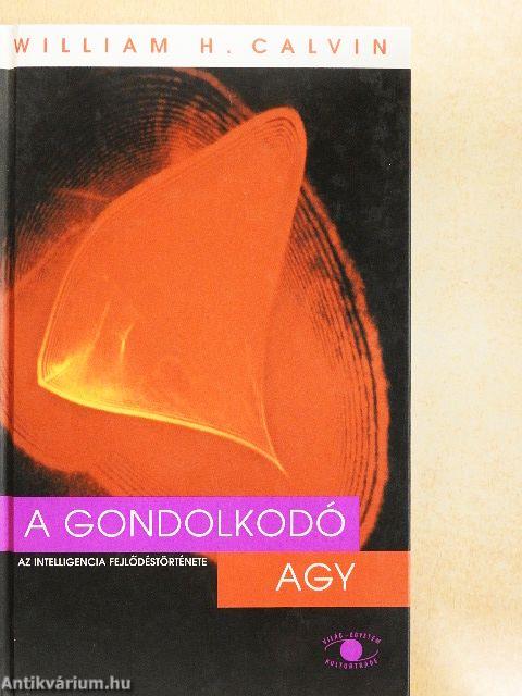 A gondolkodó agy
