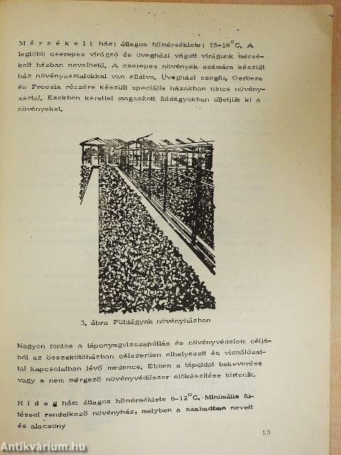 Dísznövénytermesztés III.