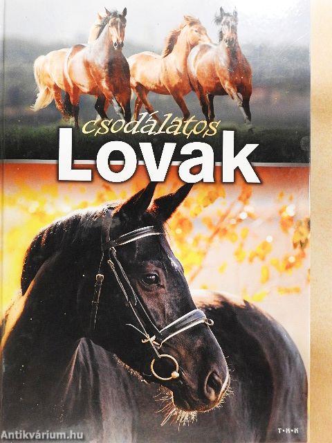 A csodálatos lovak