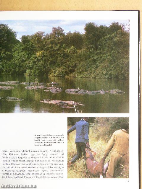 Vadászat Kudu-földön