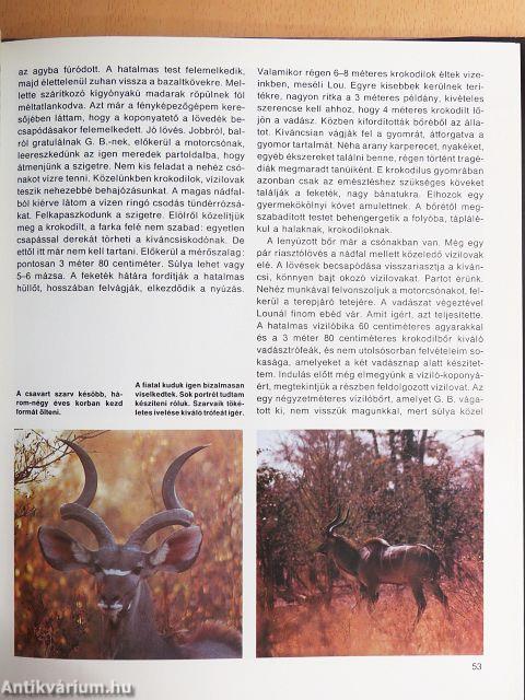 Vadászat Kudu-földön