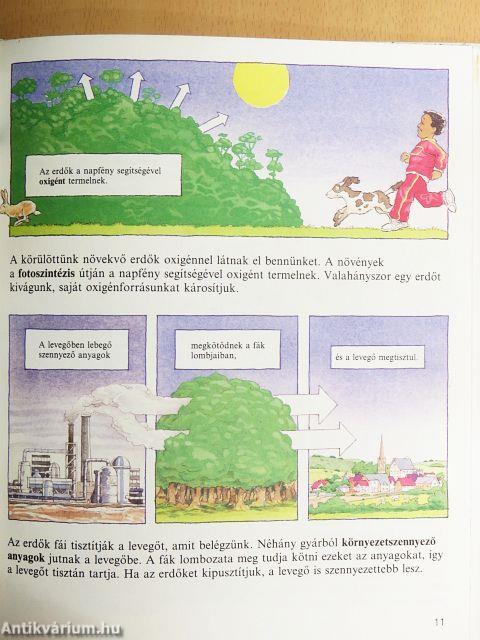 Az erdők 