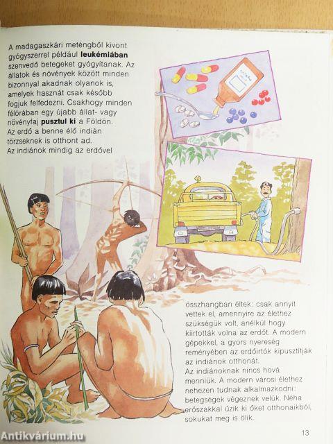 Az erdők 