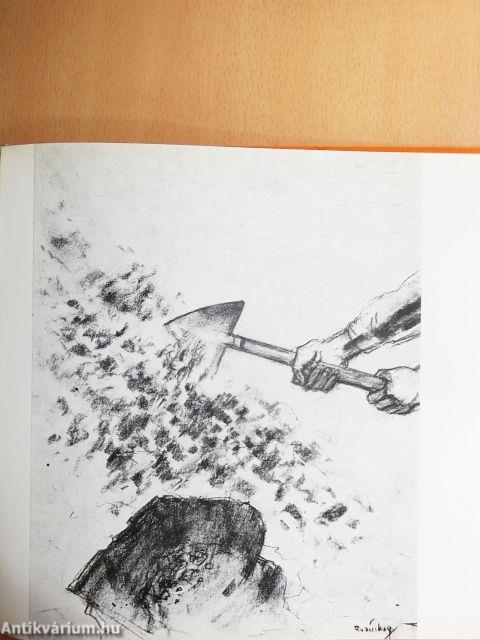 Komplex melioráció