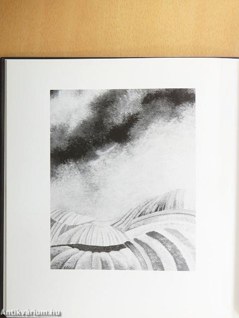 Latinovits verset mond