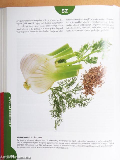 Természetes gyógymódok receptre