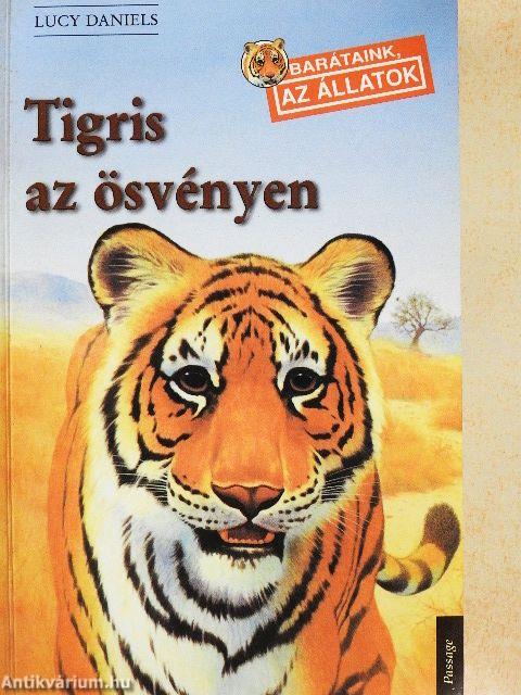 Tigris az ösvényen