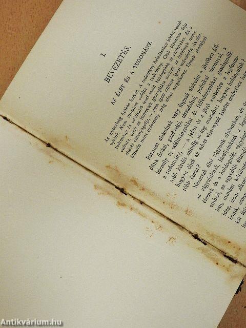 Az életfilosofia problémái (rossz állapotú)